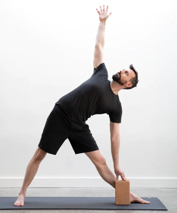 Cork Yoga Block by Halfmoon
